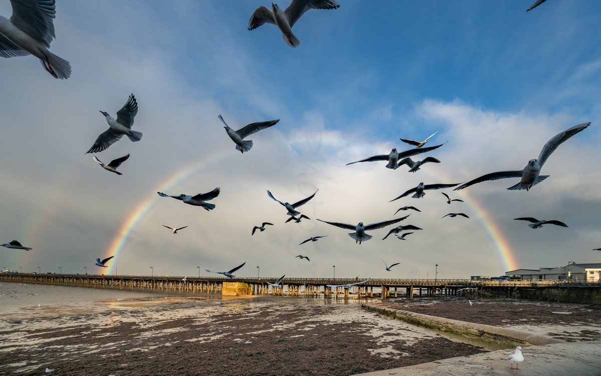 Never in my life have I clambered down from a scaffold tower so fast as I could see the potential of a fabulous rainbow... ran inside, grabbed my camera bag and ran down Union St - Mother Nature did not disappoint 🌈🌞🌈 #Ryde #rainbow #isleofwight