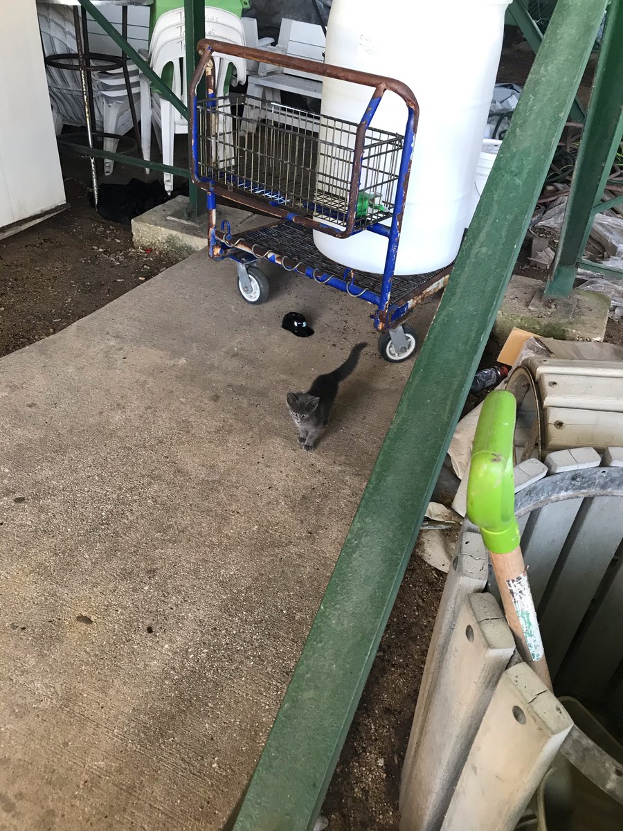 BREAKING: Jackie has a friend!  18/