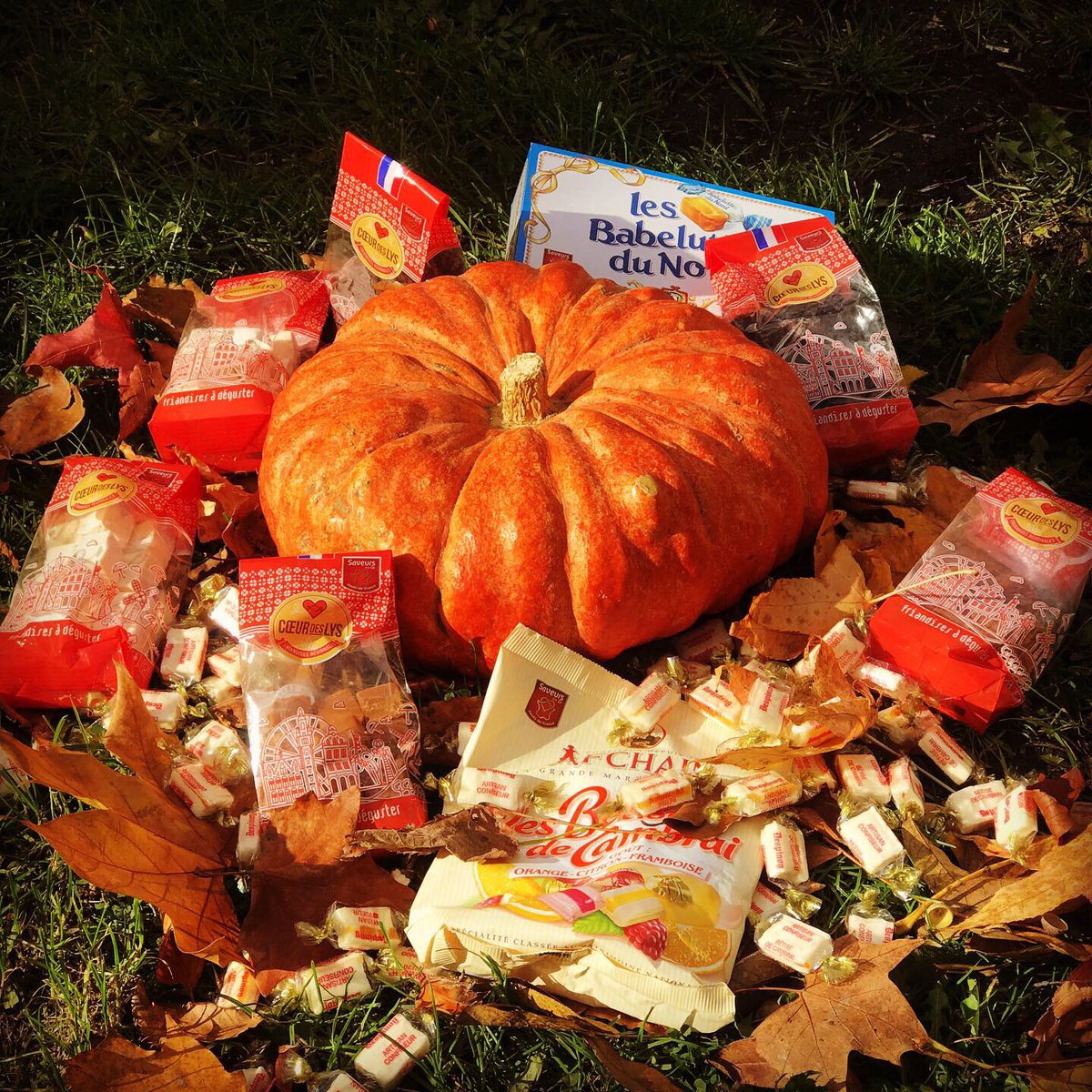 departement59's tweet photo. #LeSaviezVous ? 🍬 Le Nord est un vraie terre de confiseurs ! Bêtises de Cambrai, Babeluttes, Chuques, Sottises, Carambars...
📢 Avis aux gourmands : pour #Halloween, gagnez une montagne de bonbons #madein59 et une citrouille sur notre Insta 👉 https://t.co/CvM5IVuPMt 🧟♂️🧟♀️ https://t.co/pkpoexMqYm