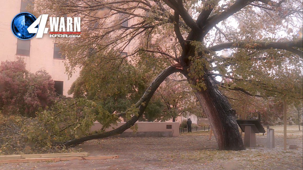 emilyrsutton's tweet photo. 2020....NOOOOO....not the SURVIVOR TREE!
We will have the latest on @kfor at noon. 
@OKCNM  #okwx #icestorm https://t.co/Or2rCgavua