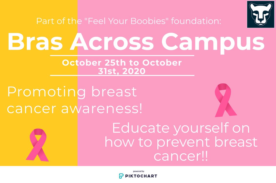 state_lion's tweet photo. It’s that time of year for the month of October! Come support and donate to Bras Across Campus until this Saturday! Breast Cancer doesn’t get quarantined👊🏽💪🏽 https://t.co/nKABopvY2x