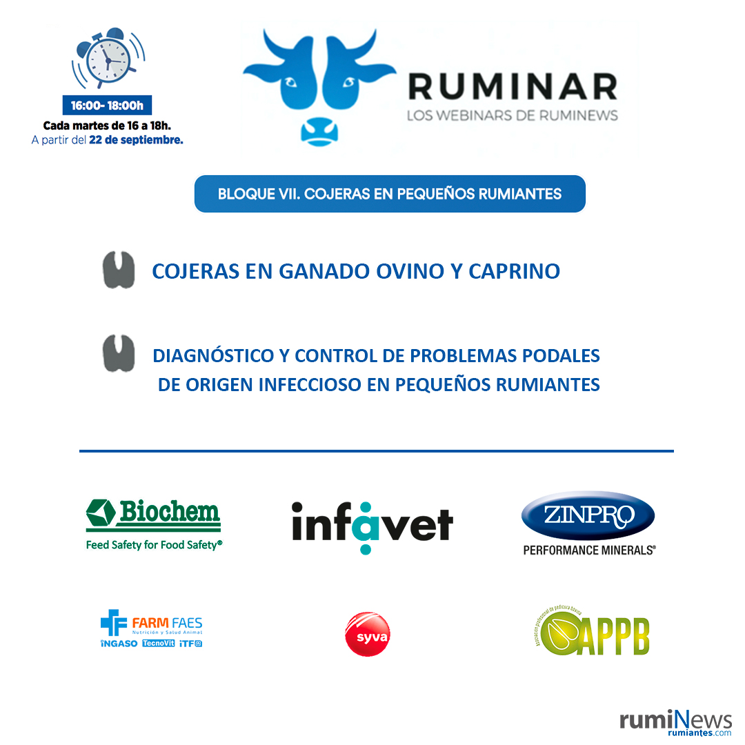 RumiNewsrevista's tweet photo. ⭕️¡Continuamos con el último bloque del #RUMINAR! En la séptima sesión hablaremos sobre #PODOLOGÍA en #PEQUEÑOS #RUMIANTES.
Inscripciones: https://t.co/cSq2z3Zbgf
#Syva @Zinpro #FARMFAES #INFAVET #BIOCHEM #APPB #Exopol https://t.co/sjfbemBT0V
