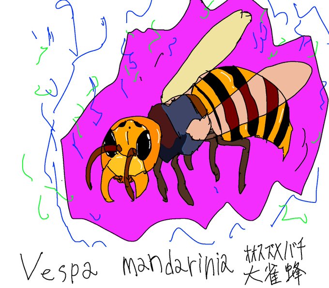 オオスズメバチのtwitterイラスト検索結果 オオスズメバチのtwitterイラスト検索結果
