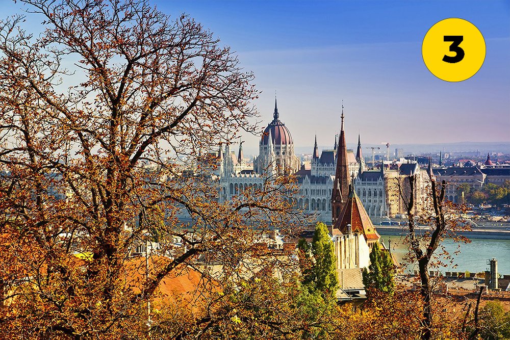 ViajesNG's tweet image. ¿A qué ciudad le sienta mejor el otoño? 
1. Madrid
2. Berlín
3. Budapest 
4. Ámsterdam

¡Sólo puede quedar una!