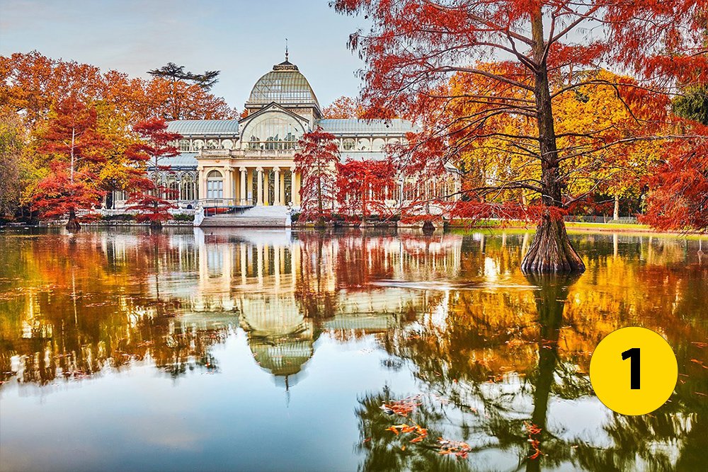 ViajesNG's tweet image. ¿A qué ciudad le sienta mejor el otoño? 
1. Madrid
2. Berlín
3. Budapest 
4. Ámsterdam

¡Sólo puede quedar una!