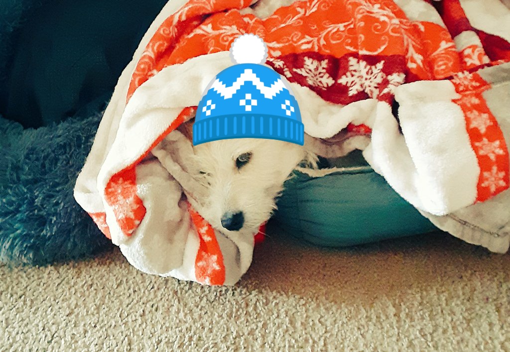Davidbwx's tweet photo. Good morning world.   Ill stay in today....where its warm.  Thanks https://t.co/AR1qD9Dwpw