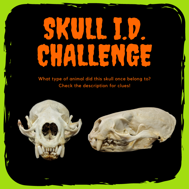 Woodlands Nature Station in LBL tweet media