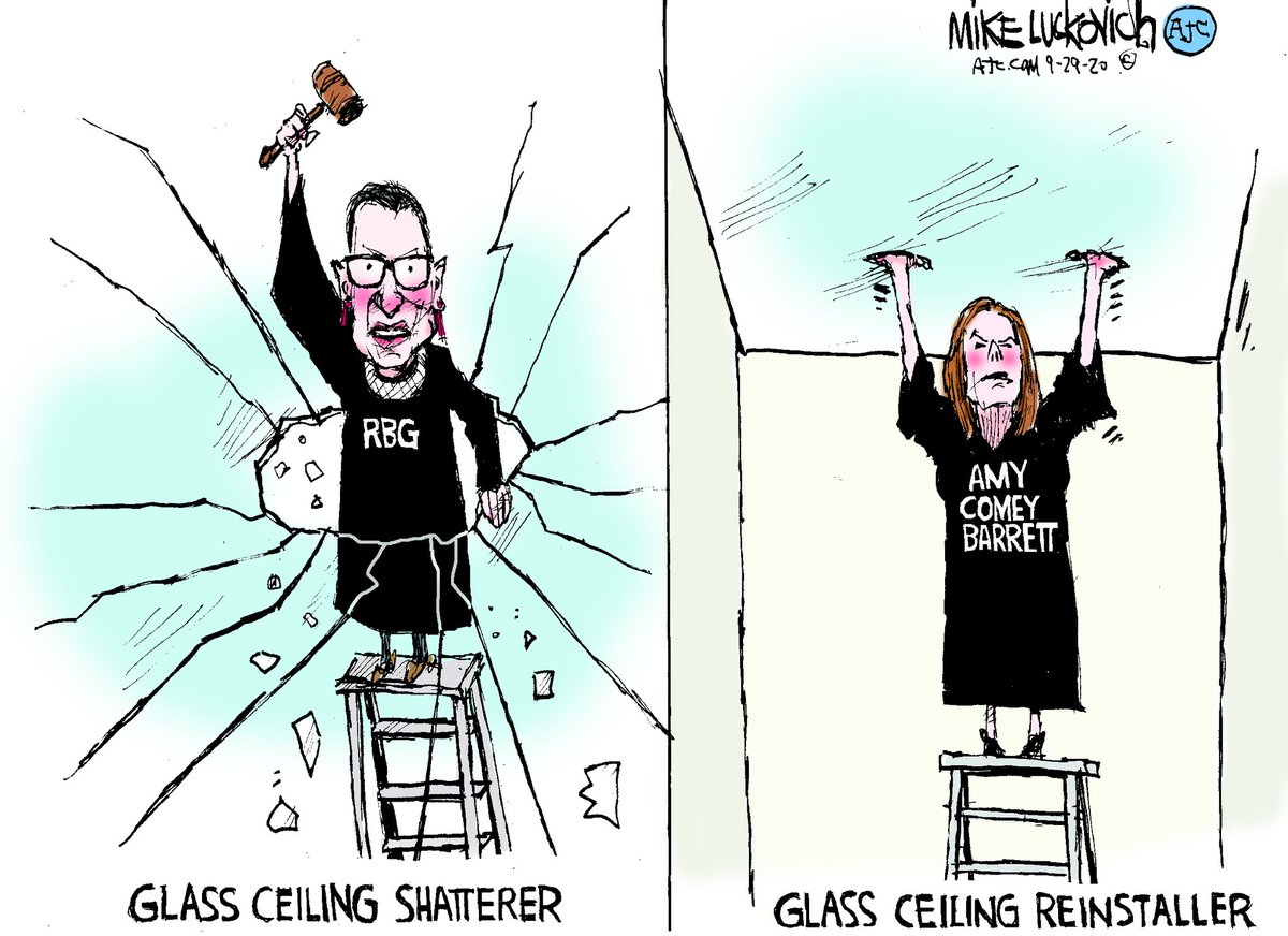 chocol8nut's tweet image. #SCOTUSGATE 
#WomensRights 
#BidenHarris 
#VoteBlue2020