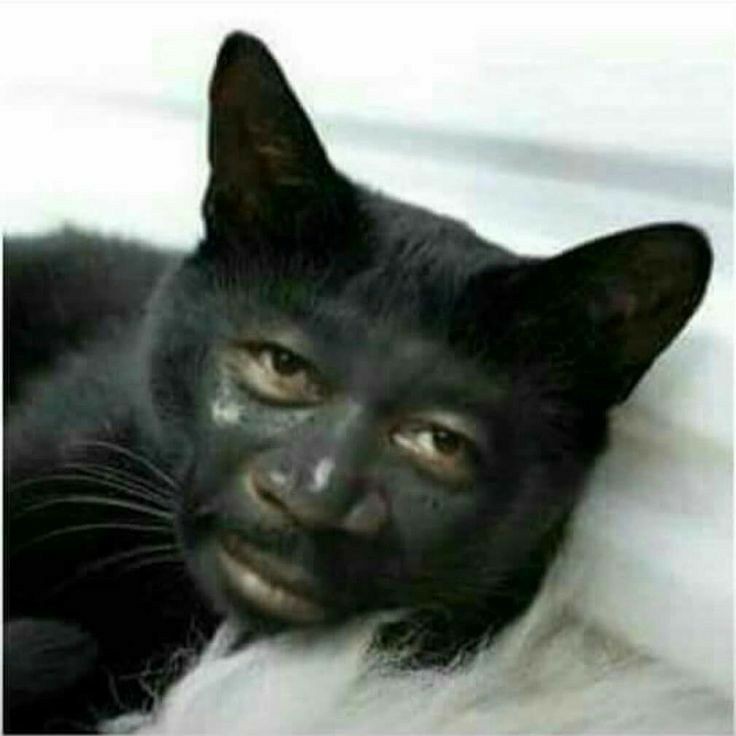 حته انه ولله