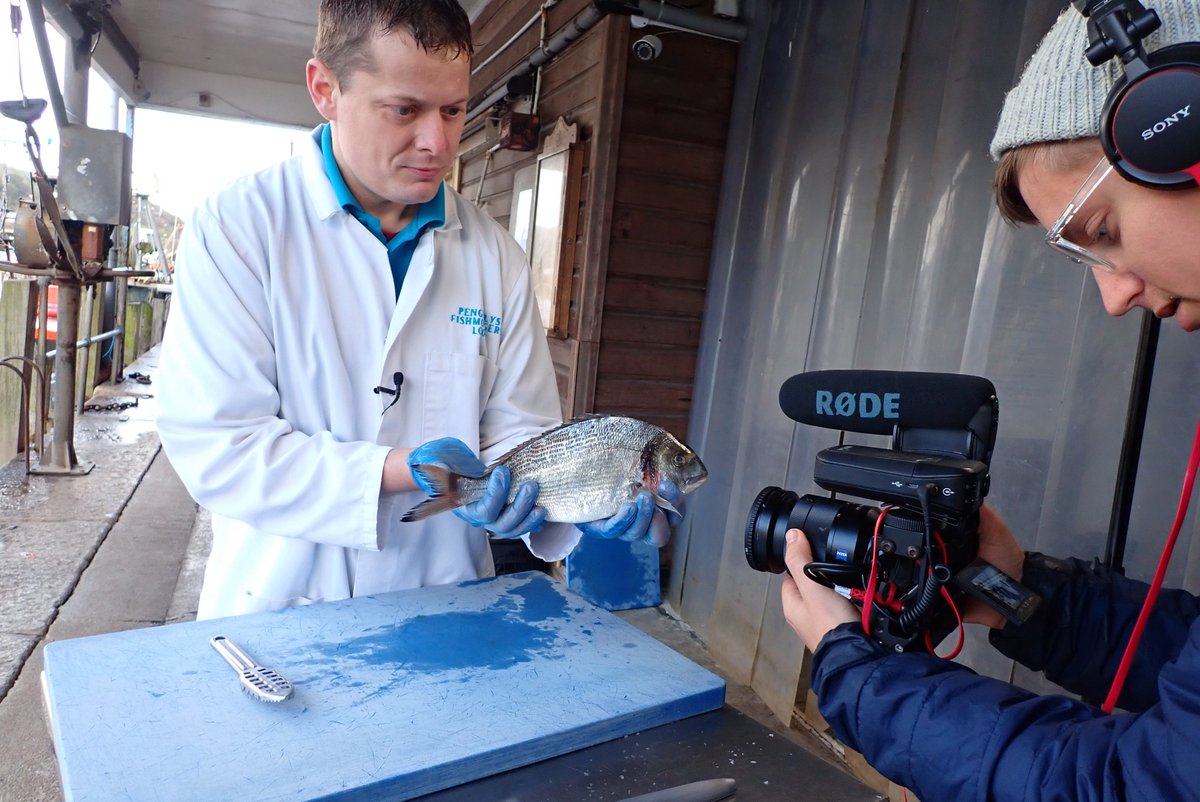 CornwallGoodSeafood tweet media