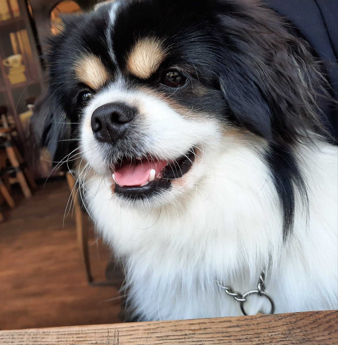 One year old today!! 🎉🎉🌟