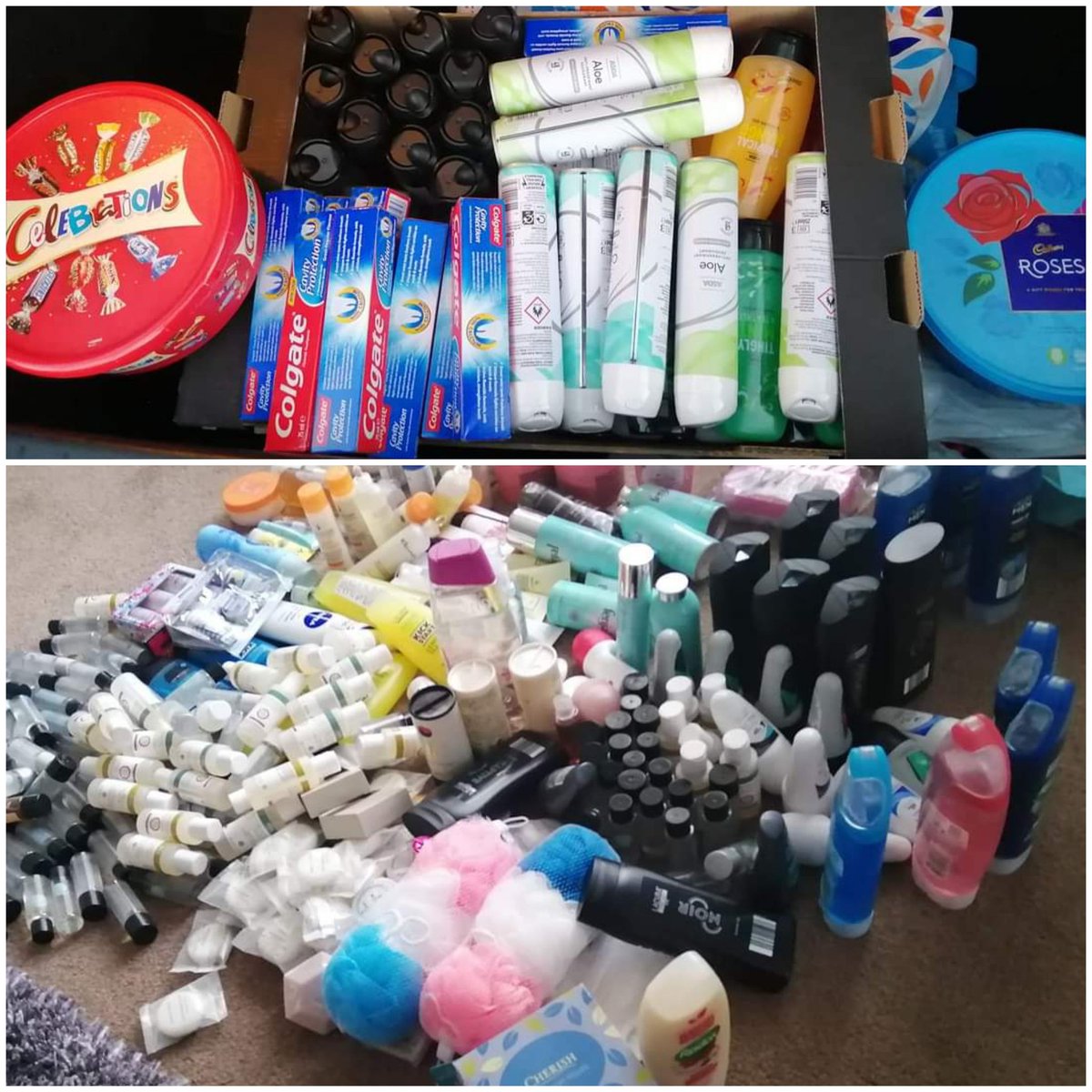 BTHWard24 tweet media