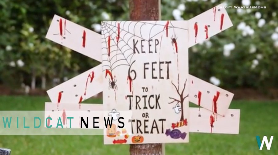 Check out this week's episode of Wildcat News, right now! youtube.com/watch?v=sK4XjS…