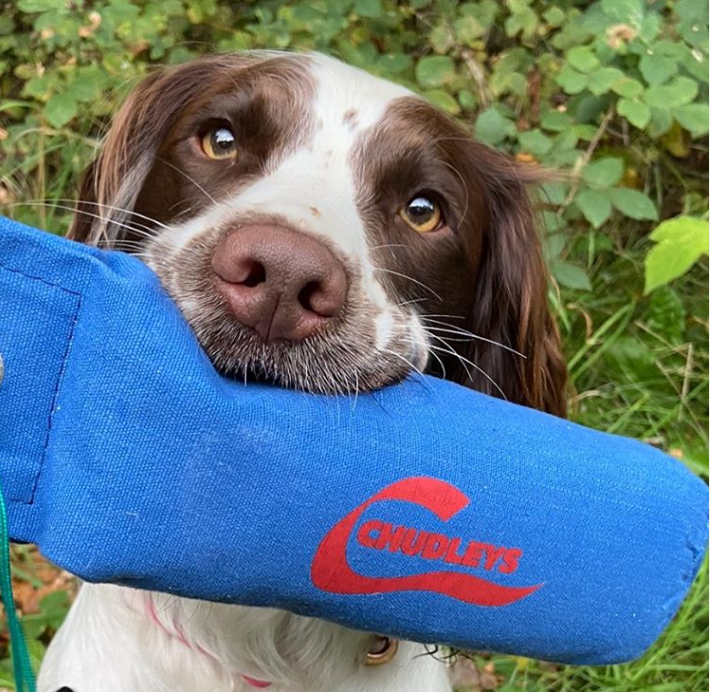 Chudleys tweet media