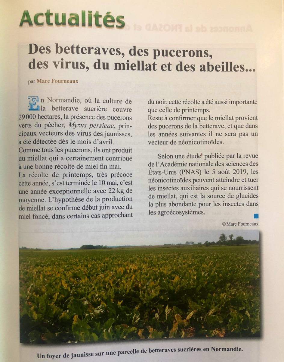 Syndicat des Apiculteurs dâOccitanie đ (@apioccitanie) on Twitter photo . <a href="/jctissot42/">Jean-Claude Tissot</a> effectivement les #neonicotinoides peuvent atteindre et tuer les inesectes auxiliaires qui se nourrissent de miellat de pucerons.
Article de La SantĂ© de lâAbeille . <a href="/jctissot42/">Jean-Claude Tissot</a> effectivement les #neonicotinoides peuvent atteindre et tuer les inesectes auxiliaires qui se nourrissent de miellat de pucerons.
Article de La SantĂ© de lâAbeille