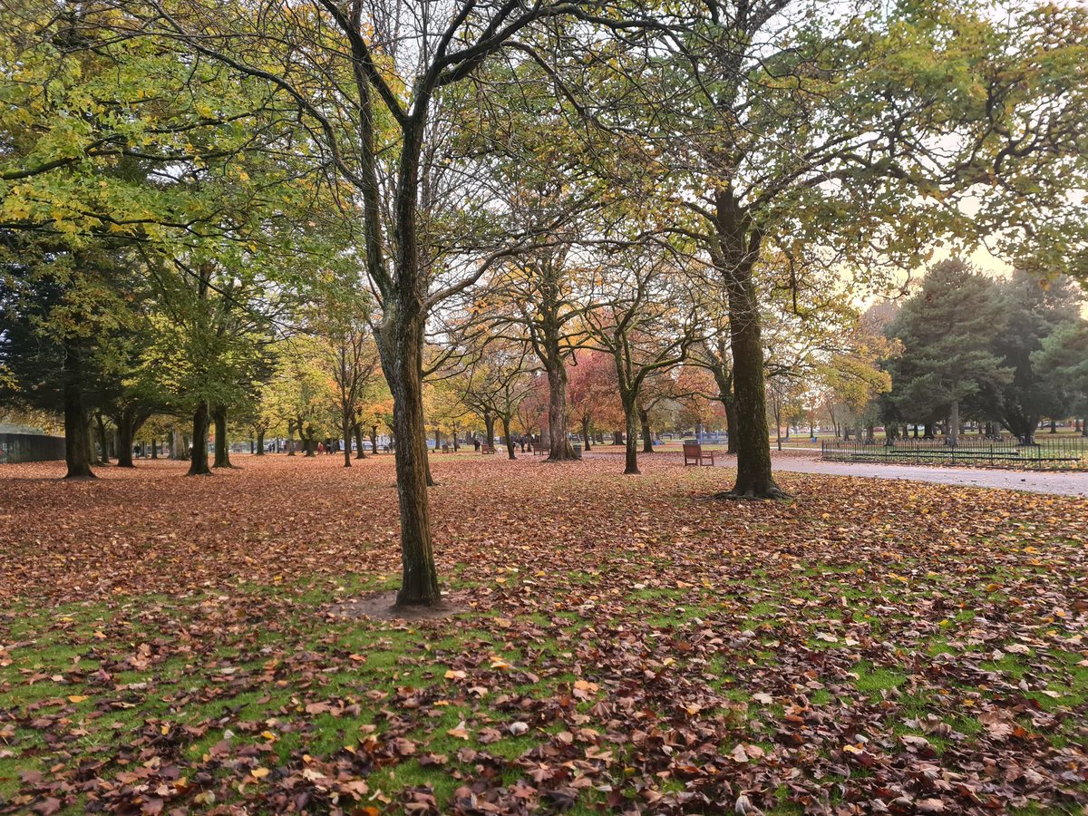 Beautiful walk around my local park..with my family 👪 

🧡 🏴󠁧󠁢󠁷󠁬󠁳󠁿❤

Lucky the big trees 🌳 sheltered from the rain 🌧 

#walking #Excercise #Feelgood #Cardiff #leaninlockdown #healthylifestyle #investinyou #Wales