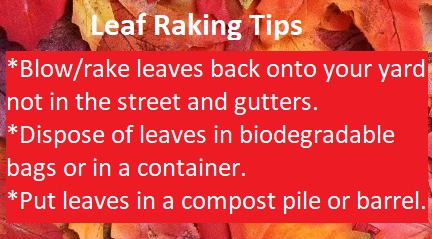 The annual Fall Leaf Pickup continues through Dec. 18. Leaves must be in biodegradable bags or inside containers and placed near your trash and recycling carts on the day of your scheduled trash pickup. Click the link to learn more.    bit.ly/3nD0TPb
