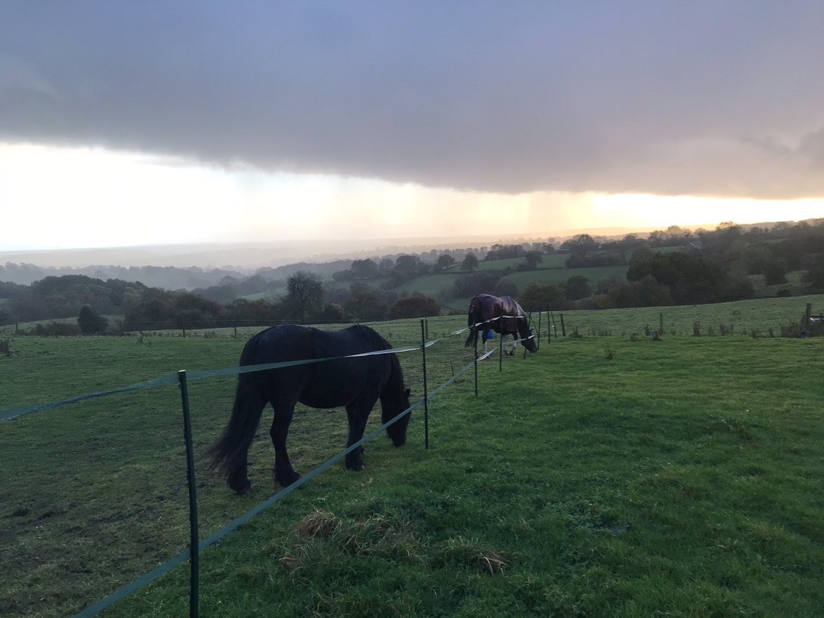 Linval15's tweet image. @Linval15 day 1/7.
I’ve been nominated by @tracytsikai1 to post a picture a day for 7days to illustrate my daily life( no people)
You have to copy these words, add photo and repeat the challenge.                                                      Today I nominate @RobGmmh