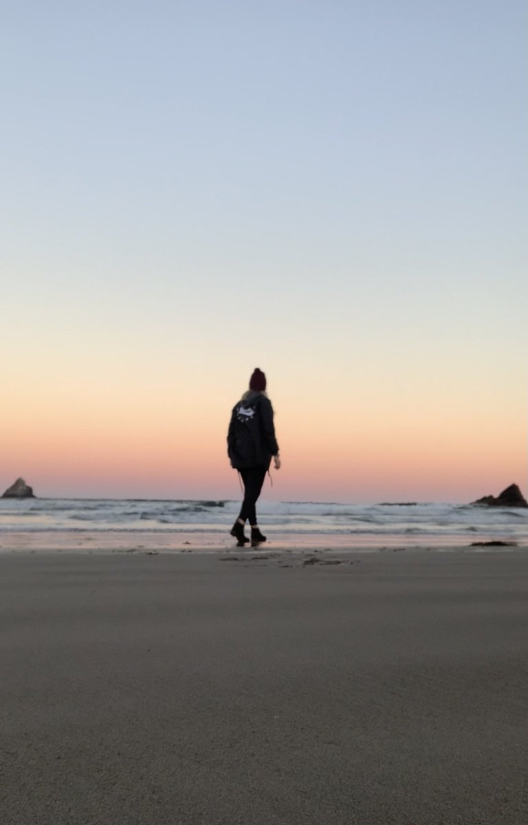 AshieHaden's tweet photo. Escape to serenity 🦋

#sunrise #pnw https://t.co/ZkCjrPLjvx