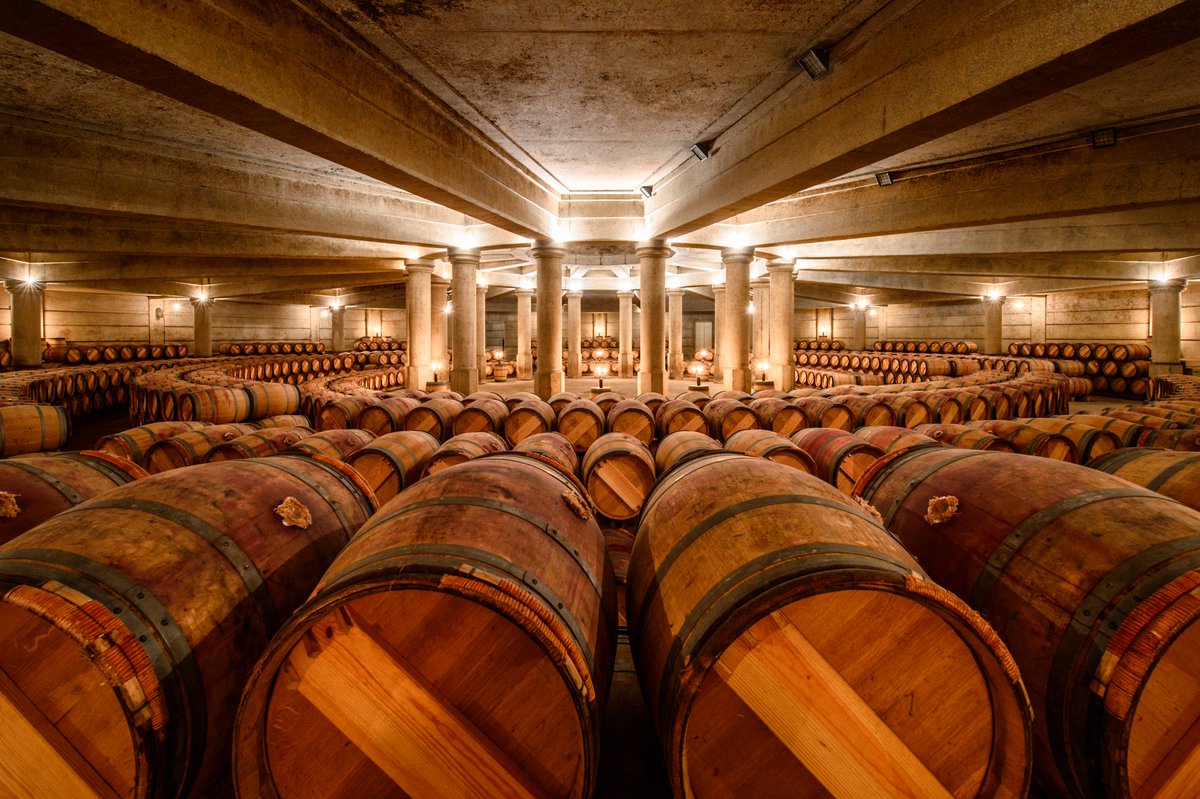 Tadam ! Embarquement pour un petit tour de pépites toutes plus incroyables les unes que les autres, et ça commence par le #Médoc… bit.ly/2THg8Jf ©François Poincet #Pulpe #Bordeauxwinetrip #Vinsdebordeaux #Winelovers