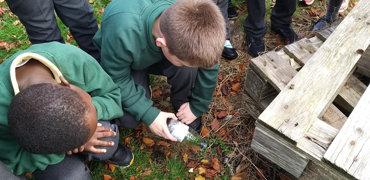 MrsGillespie6's tweet photo. We had a little visitor in P5! We researched this little creature and believe it to be a Ruby Tiger Caterpillar. We have called it Brownie and it generated lots of discussion. We have since been learning about life cycles and food chains. @KnightsridgePr1 https://t.co/cBFxrYY0Ue