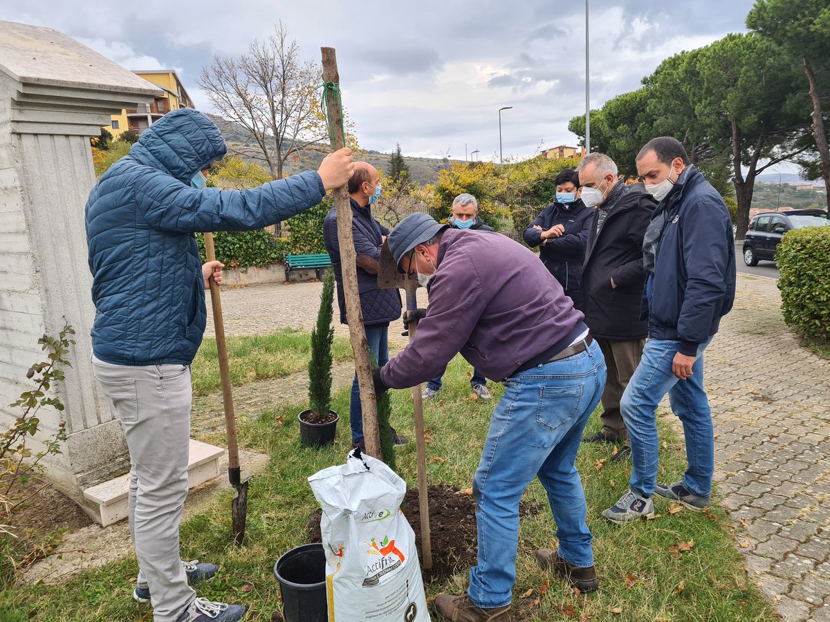 fidasbarile's tweet photo. #Fidas #Barile 💕
#dona #sangue ❤
 #pianta #alberi 🤩

Anche quest'anno sono stati donati 4 cipressi al Comune Di Barile dall'Associazione donatori sangue #FidasBarile ODV e piantati presso la Piazza Unità d' #Italia in occasione dell' VIII  edizione della #FestaDellAlbero https://t.co/ajpUwuqutS