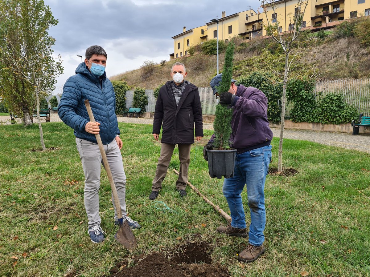 fidasbarile's tweet photo. #Fidas #Barile 💕
#dona #sangue ❤
 #pianta #alberi 🤩

Anche quest'anno sono stati donati 4 cipressi al Comune Di Barile dall'Associazione donatori sangue #FidasBarile ODV e piantati presso la Piazza Unità d' #Italia in occasione dell' VIII  edizione della #FestaDellAlbero https://t.co/ajpUwuqutS