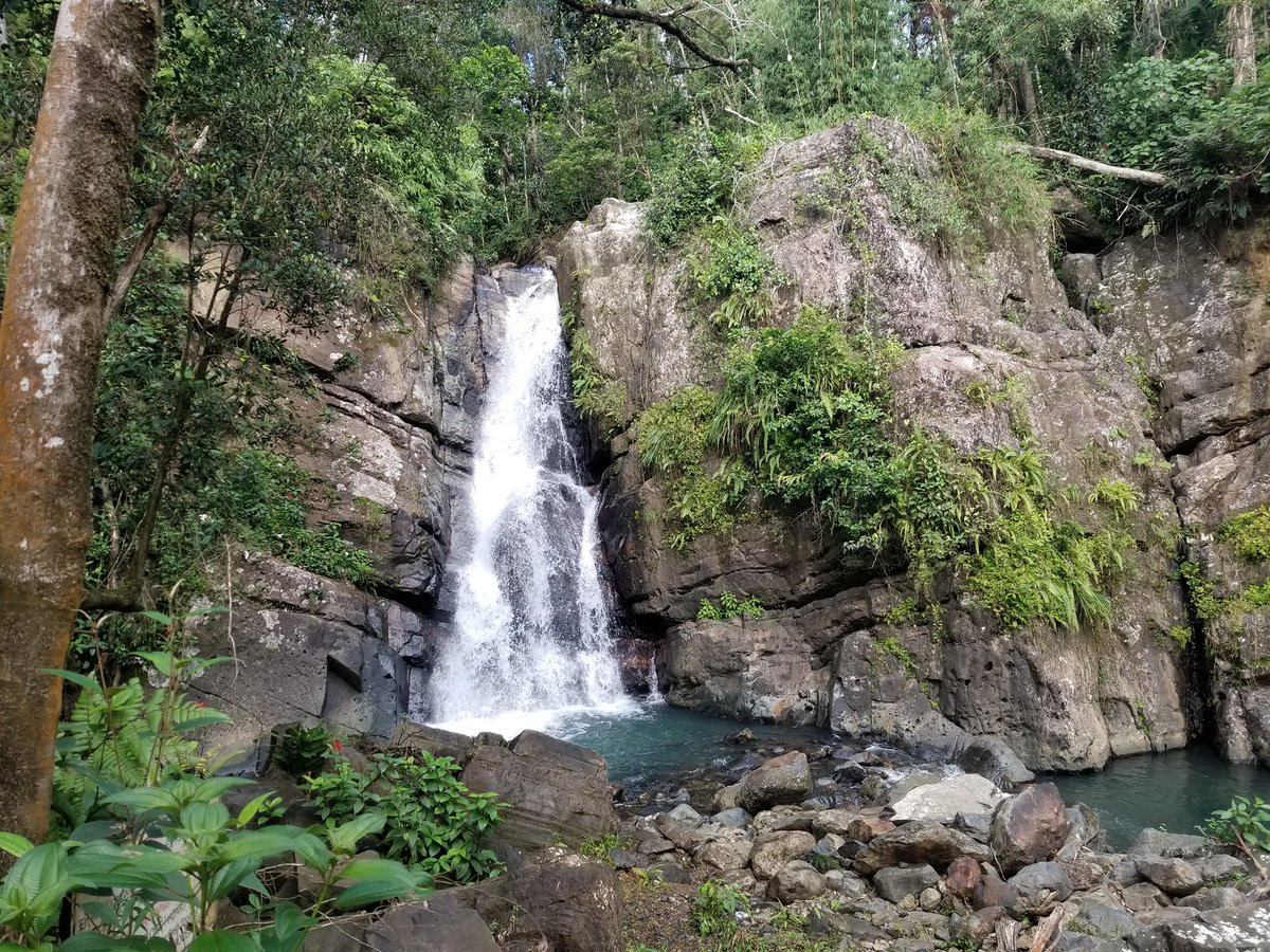 what’s the name of this national forest?