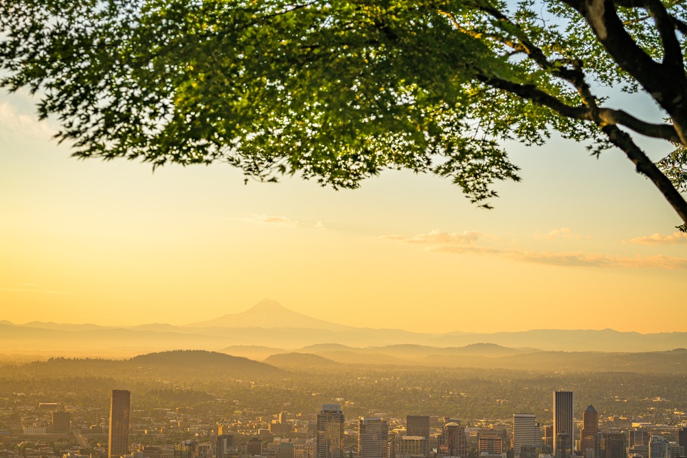 PDXJobs's tweet photo. New @PDXJobs are out! Highway Trailer Sales, Inc., @hrannie_  Consulting Inc, @RaphaelHouse of Portland &amp; More!  ---> https://t.co/6eE13CsDI0 #pdxjobs

[Portland skyline at dusk with Mt. Hood in the distance by Sean Pavone // @Shutterstock] https://t.co/IvEUJvHsM5