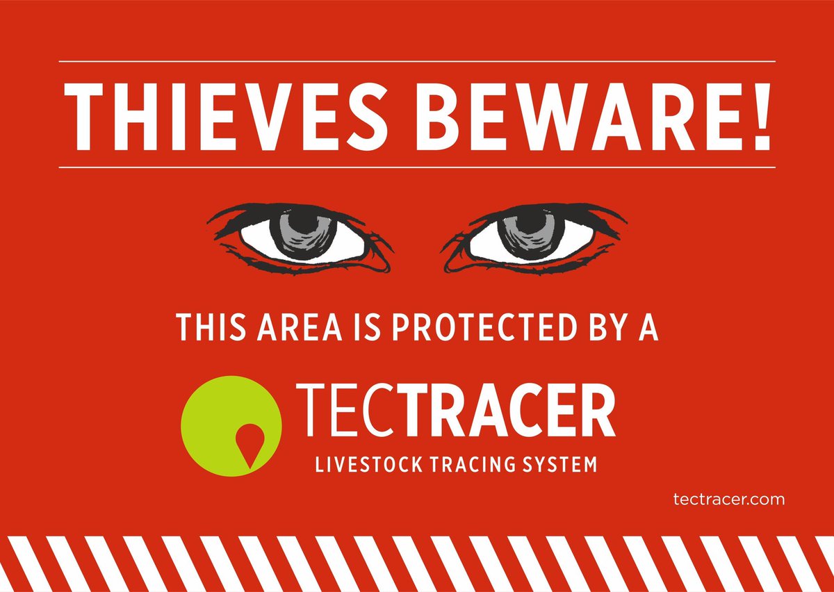 johnbar11551771's tweet photo. @ClevelandRural Some of these Border Leicester ewes were stolen from Stokesley last week! Hope you mentioned the NFU advice about marking sheep with https://t.co/MuJTYgauzI @OpBoPeep , to help prevent/detect theft! #sheeptheft #ruralcrime TecTracer; silver in The Brit Farming Awards last week https://t.co/qXu63CmuHc