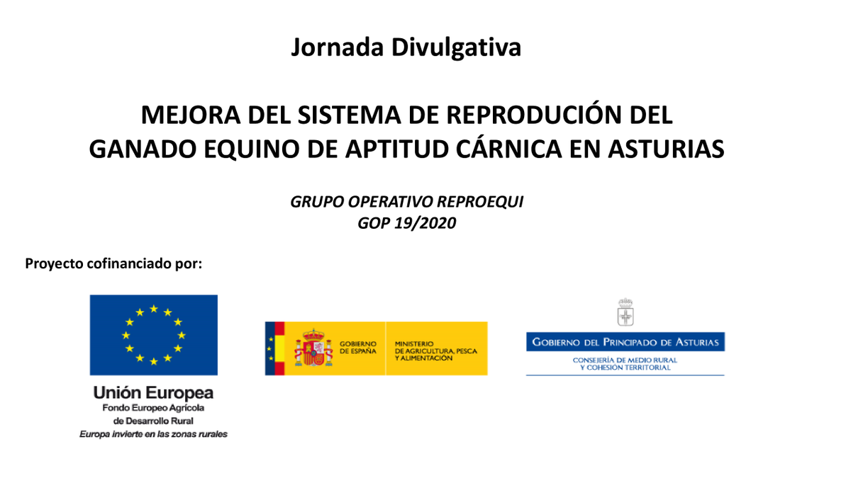 asincar's tweet photo. 🗓️El 30 de octubre
⏰A las 12:00
📍En #Asincar
🗣️Tendrá lugar la presentación resultados del proyecto "Mejora del Sistema de Reproducción del Equino de Aptitud Cárnica en Asturias" #REPROEQUI 🐴
💻Se retransmitirá vía streaming a través del canal de YouTube de #ASINCAR https://t.co/YJwwfvUUSl