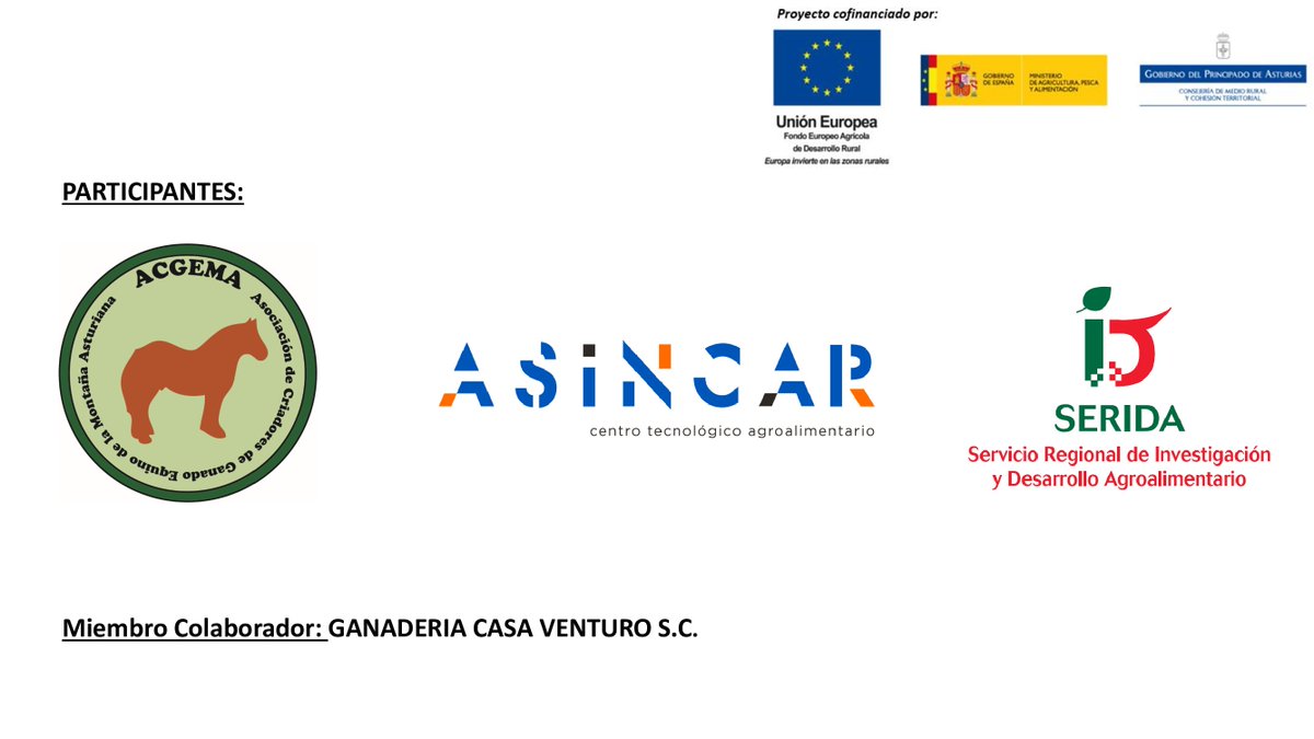 asincar's tweet photo. 🗓️El 30 de octubre
⏰A las 12:00
📍En #Asincar
🗣️Tendrá lugar la presentación resultados del proyecto "Mejora del Sistema de Reproducción del Equino de Aptitud Cárnica en Asturias" #REPROEQUI 🐴
💻Se retransmitirá vía streaming a través del canal de YouTube de #ASINCAR https://t.co/YJwwfvUUSl