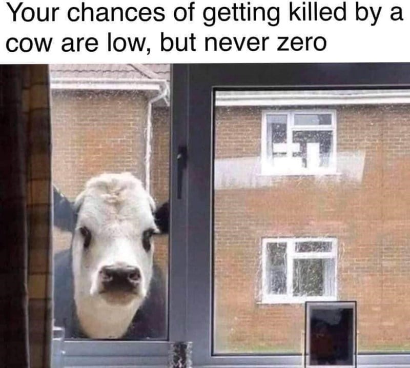 Dr. David Shiffman on Twitter: &quot;Everyone laughs at this (and this meme of  the stat is funny) but cows are serious animals and you probably could not  defeat one in a fight.