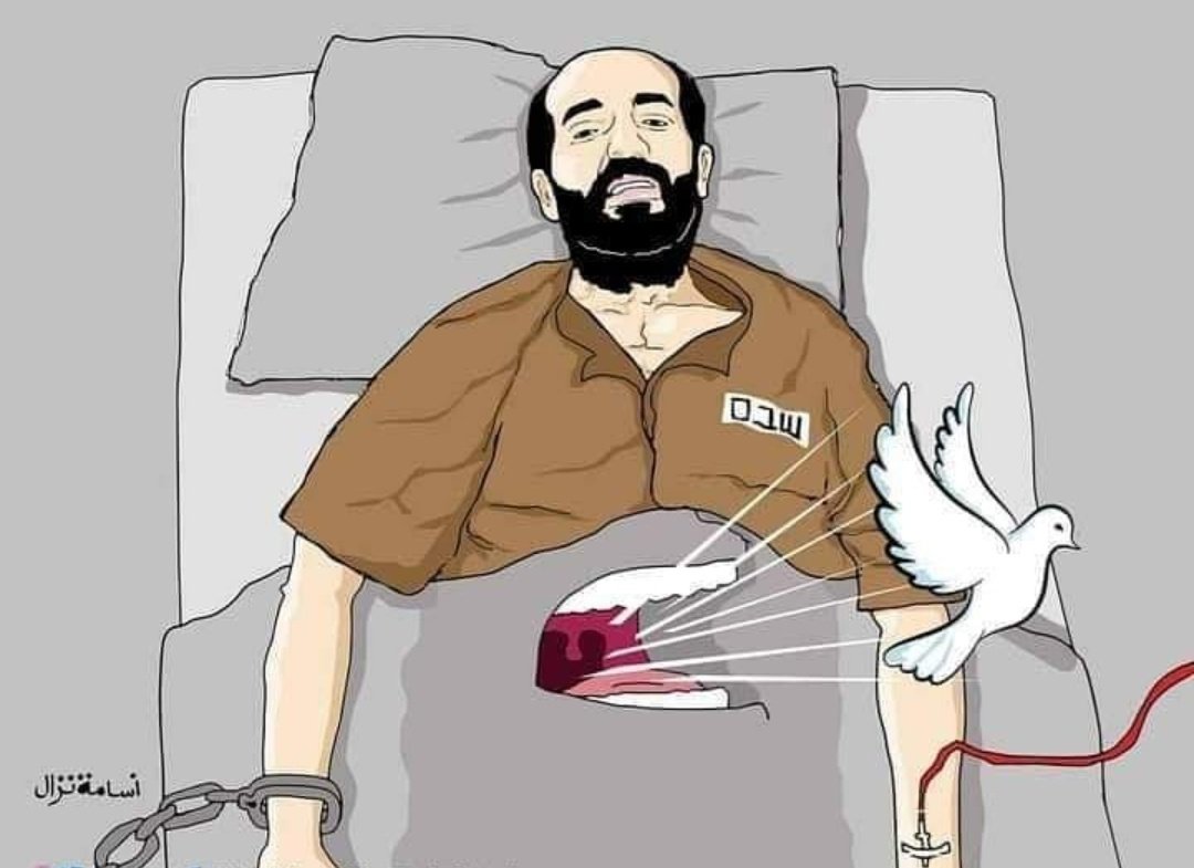 82 تشرين الأول
الحملة الدولية للإضراب عن الطعام دعماً الأسير ماهر الأخرس ✌️
#الحرية_لماهر_الاخرس #FreeMaherALAkhras