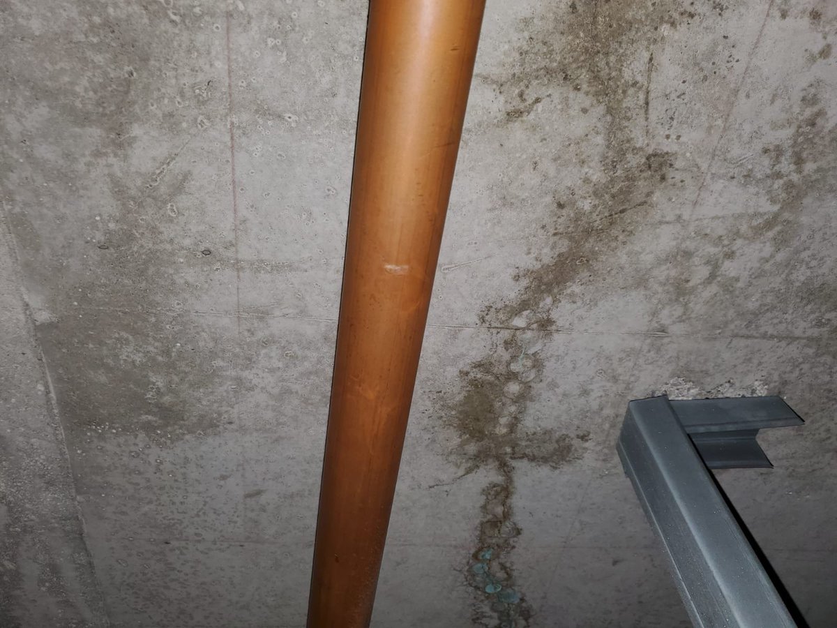 joshsmithqu's tweet photo. A simple test drywall test cut can often determine if a leak is a result of a leaking crack (possibly coming from a roof or mechanical penthouse above) or plumbing. @EdisonEngineers https://t.co/eAbFt1lWMK