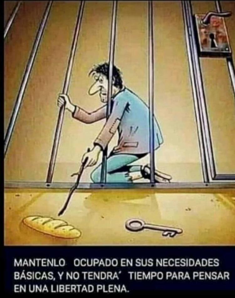 Miguel Flores (@cuervoflores13) on Twitter photo 