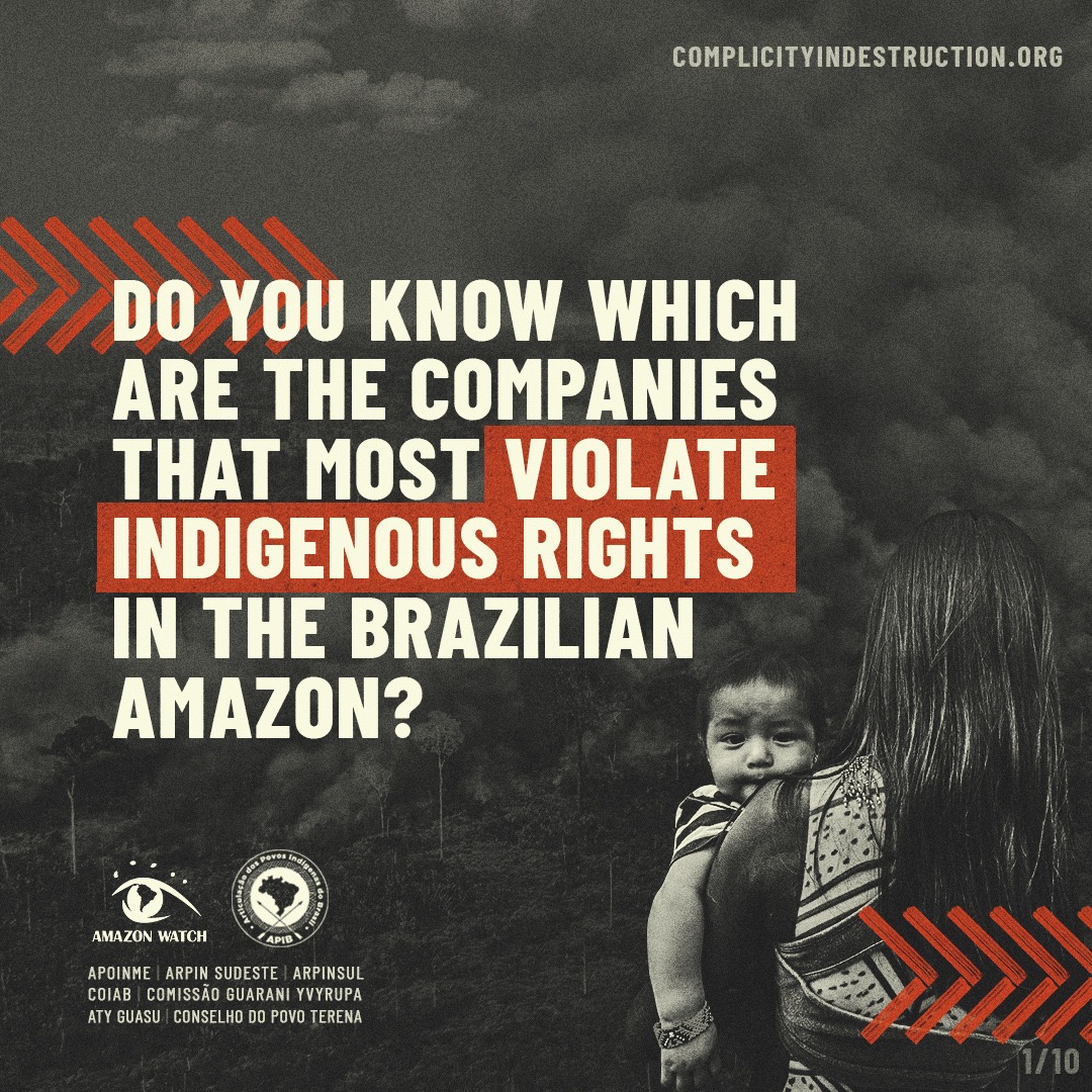  http://complicityindestruction.org  | There is no doubt that both the illegal encroachment across Indigenous Territories and the unrestrained increase in the destruction of Brazilian biomes are directly connected to the benefits reaped by the private sector in extractive industries.