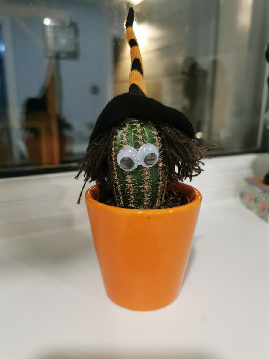 Julieparkin85's tweet photo. @fmwales This is my non essential item I bought from tesco today, sums up how ridiculous your rules are! https://t.co/TaeMf5JfPM
