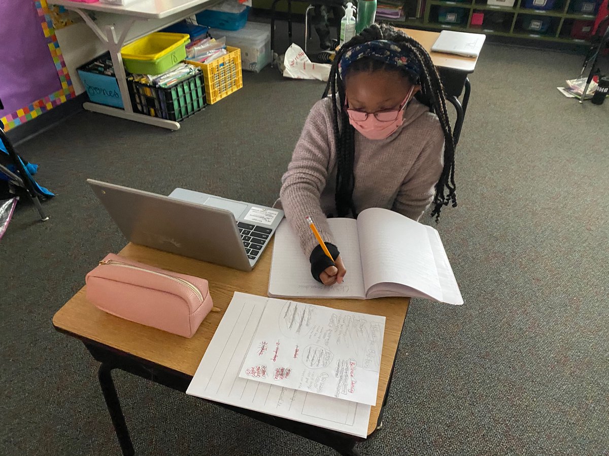 JonesTeachesMe's tweet photo. These young authors are almost finished with their expert books. They have been working so hard, and I can’t wait to learn all sorts of amazing facts from their informative writing!! #corbellrocks @Corbell3rdGrade https://t.co/iUVTWwzrGm