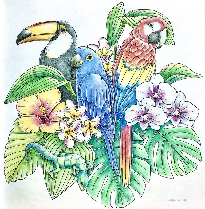 バリ絵画 花鳥風月アート スミレコンゴウインコのブルーがステキでシービューデートでええやん Www Elsahariano Com