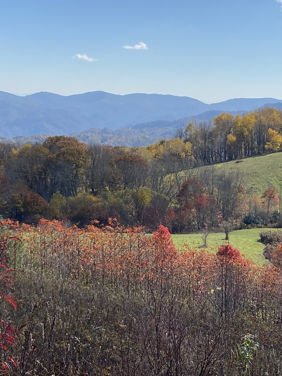 AlDunn45's tweet photo. View from Max Patch Mountain today. High and bald. As we all have been or will be. #MaxPatch #AppalachianTrail #MadisonCountyNC https://t.co/qaWOqXqp6b