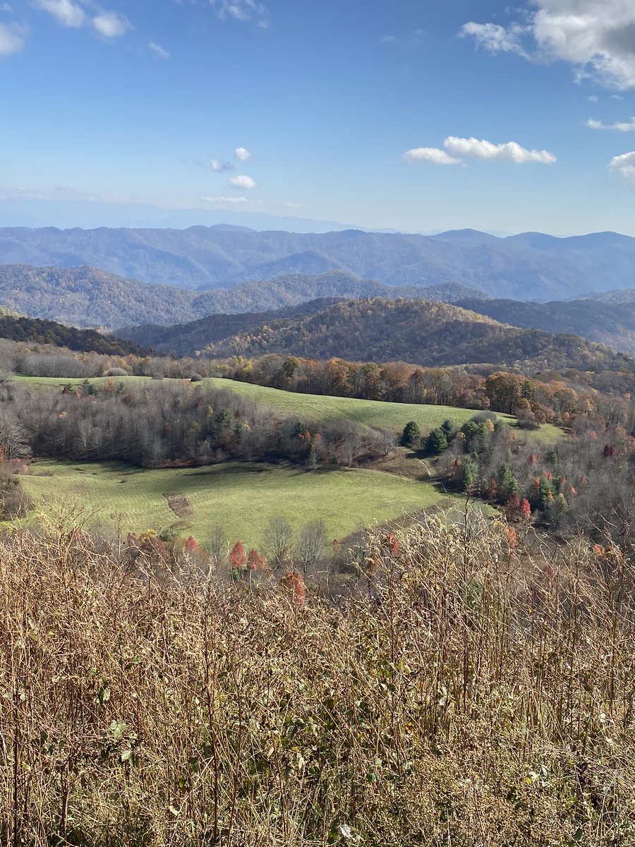 AlDunn45's tweet photo. View from Max Patch Mountain today. High and bald. As we all have been or will be. #MaxPatch #AppalachianTrail #MadisonCountyNC https://t.co/qaWOqXqp6b