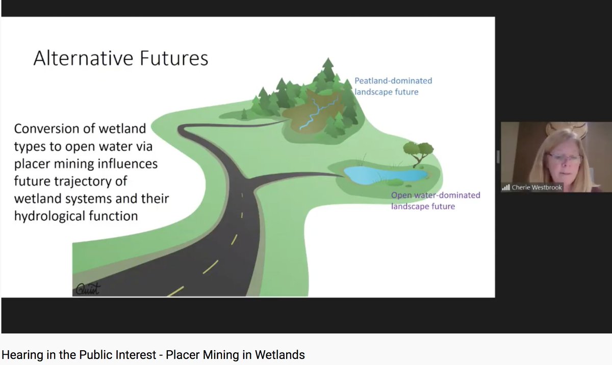 katzyna's tweet image. &quot;We will end up somewhere different after #reclamation. We don&apos;t have a clear way of knowing what functions these new post #mining systems will provide, how they will mimic previous functions, or how they will change over time.&quot; -Cherie Westbrook #PrecautionaryApproach #wetlands