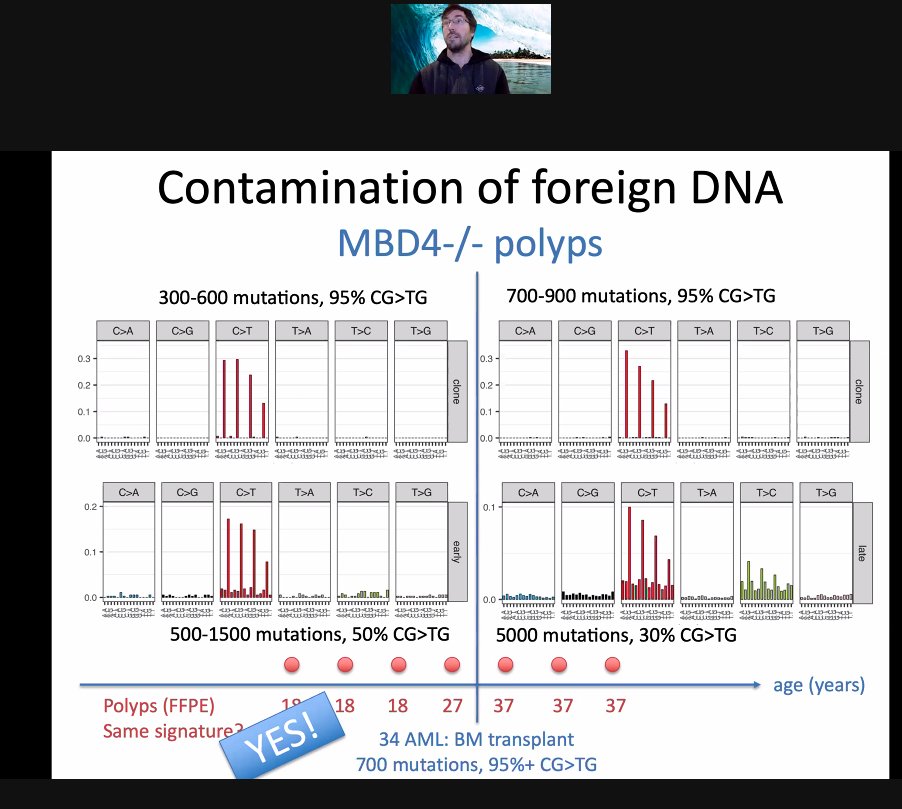 AliciaOshlack's tweet image. Lovely slides @CFlensburg at #vcbs2020 @VicCanBioinf