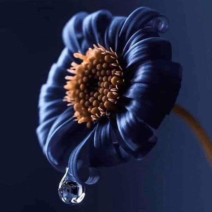 #صورة_ملف_شخصي_جديدة