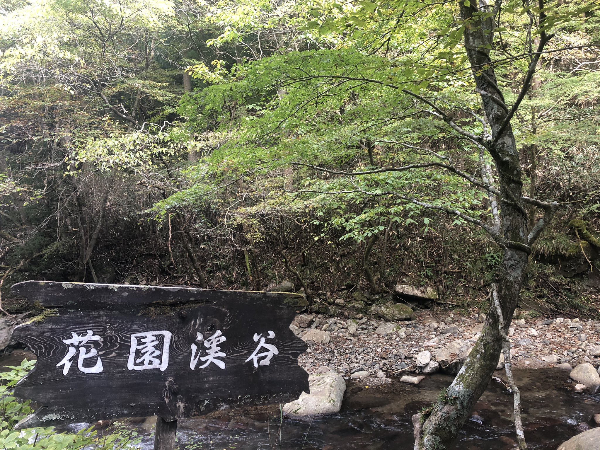 関東の紅葉 Twitter Search Twitter