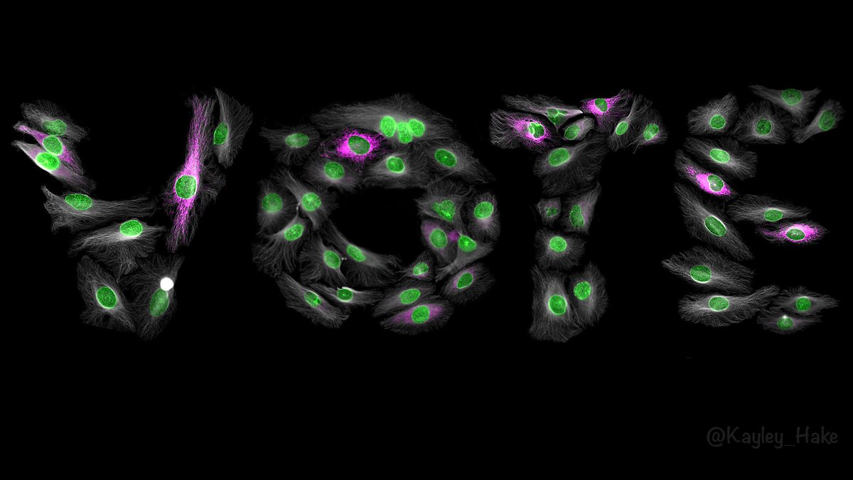 I got some pretty exciting data today! 😉

#GOTV #November3rd #SciArt #VoteEarly #VOTE