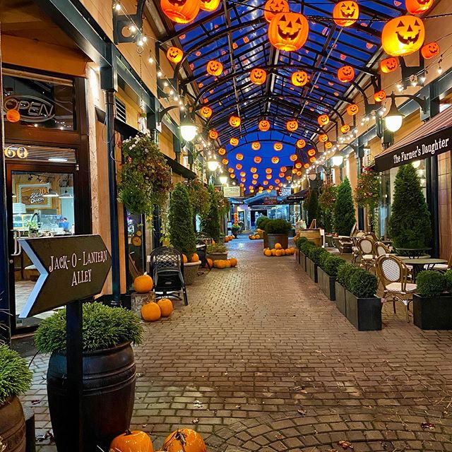 Destination Greater Victoria (@victoriavisitor) on Twitter photo It's a spooktacular time in Sidney by the Sea🎃! From now until Halloween, wander through Jack-O'-Lantern Alley, visit spooky installations and take part in ghostly activities (with COVID-19 safety measures in place).
hubs.ly/H0yLr6n0
📸: @ hookdesigns <a href="/MySidneyBC/">Explore Sidney</a> It's a spooktacular time in Sidney by the Sea🎃! From now until Halloween, wander through Jack-O'-Lantern Alley, visit spooky installations and take part in ghostly activities (with COVID-19 safety measures in place).
hubs.ly/H0yLr6n0
📸: @ hookdesigns <a href="/MySidneyBC/">Explore Sidney</a>