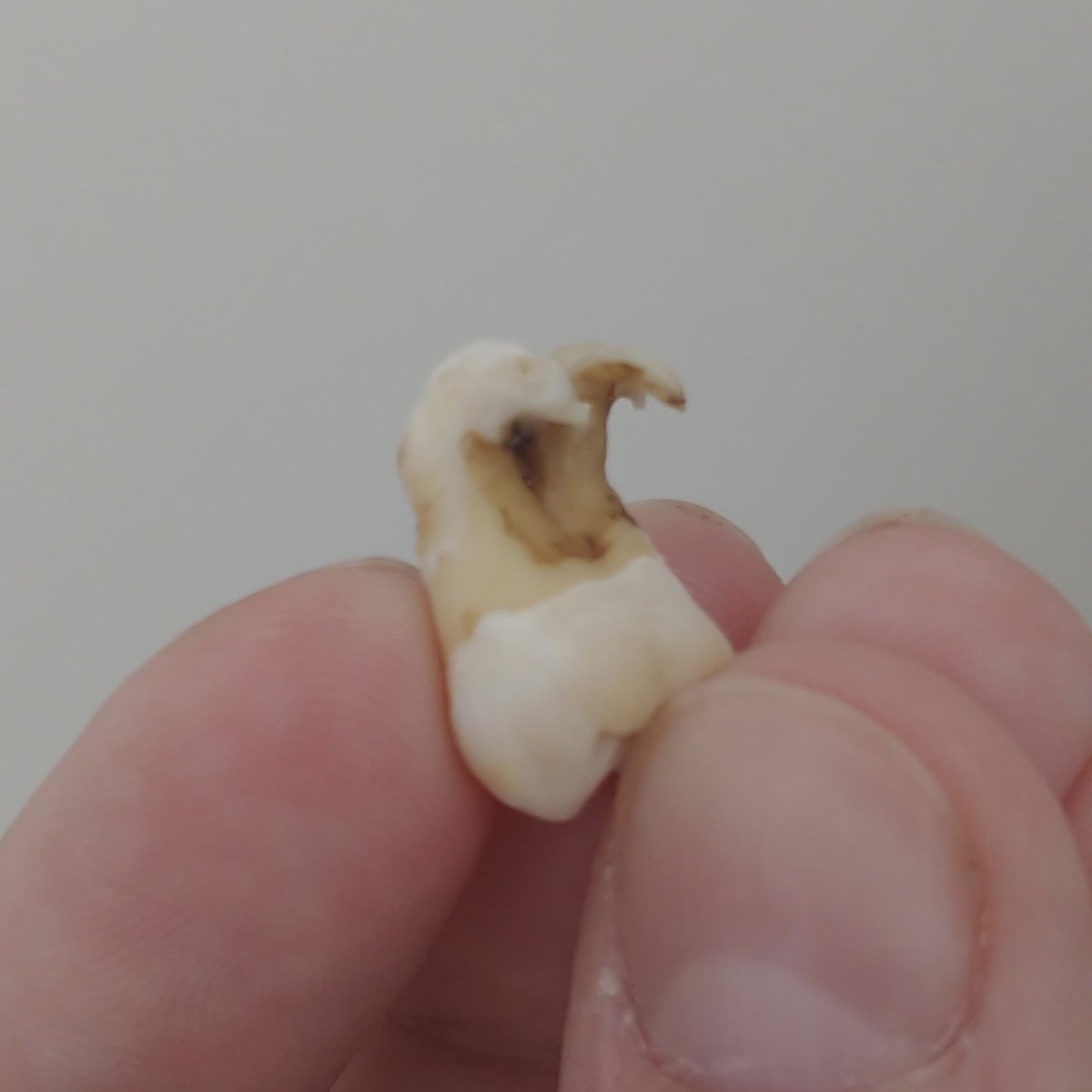 Howard Farran tweet media