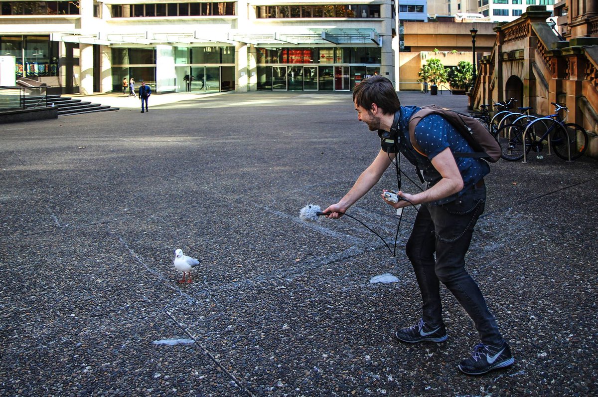 Joel Werner tweet media